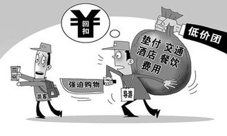 探索IT数码新前沿，人工智能实验室引领科技资讯潮流